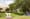 Coral Springs Museum of Art