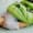 Discover Cecilia Bengolea’s infinite library of dance steps by Judith Vrancken