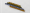 undefined by undefined