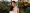 Julieta Aranda: ‘Real conversations will be face-to-face forever’  by Caroline Busta