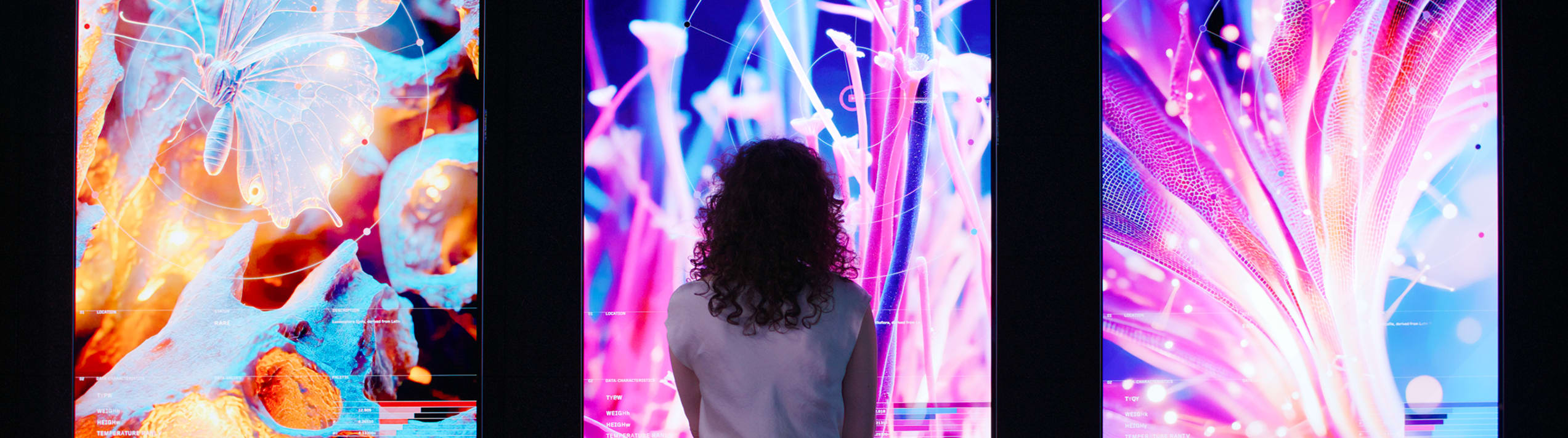 Read more about Inside DATALAND, the world’s first museum of AI arts