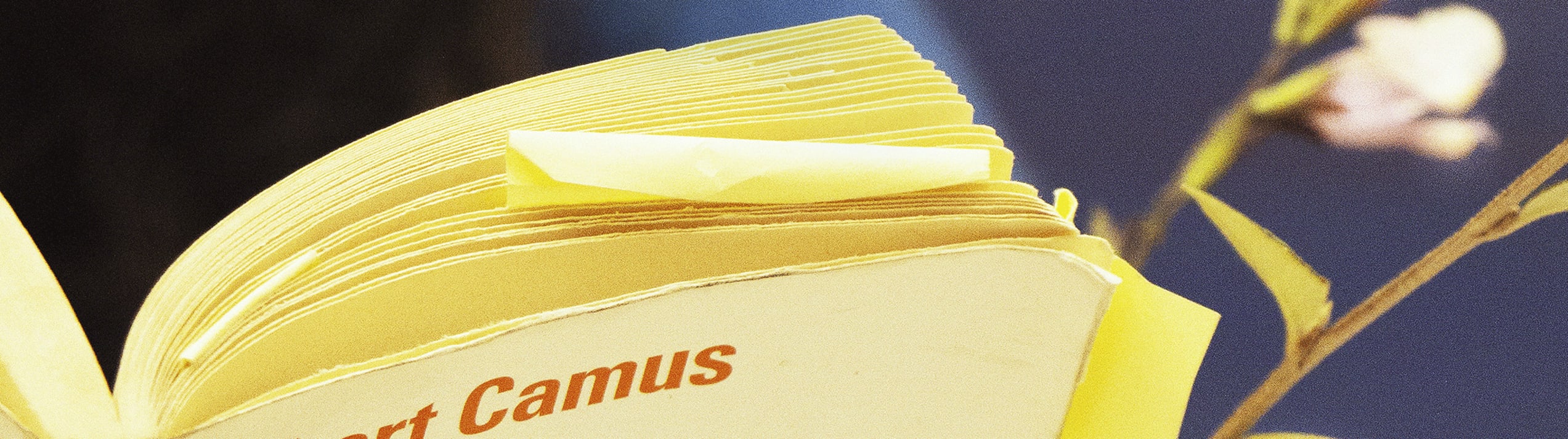 Read more about Five Parisian artists on their favorite books