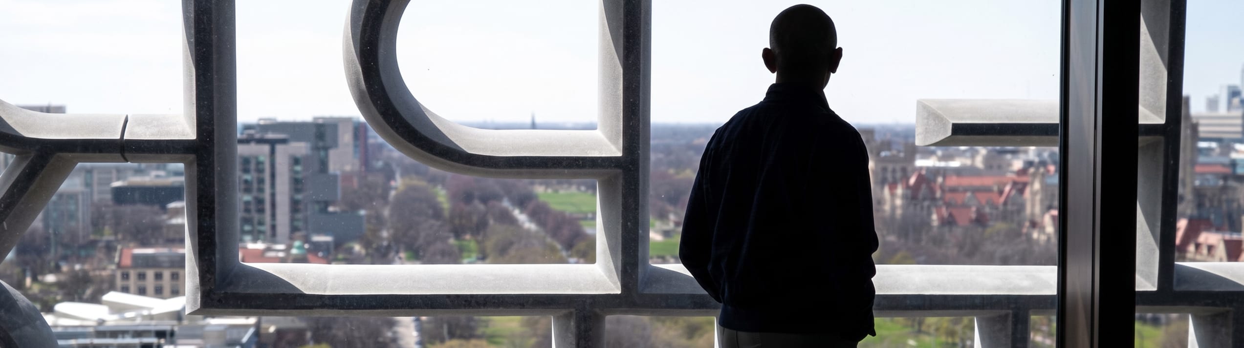Read more about What does the Obama Presidential Center mean for US art institutions?