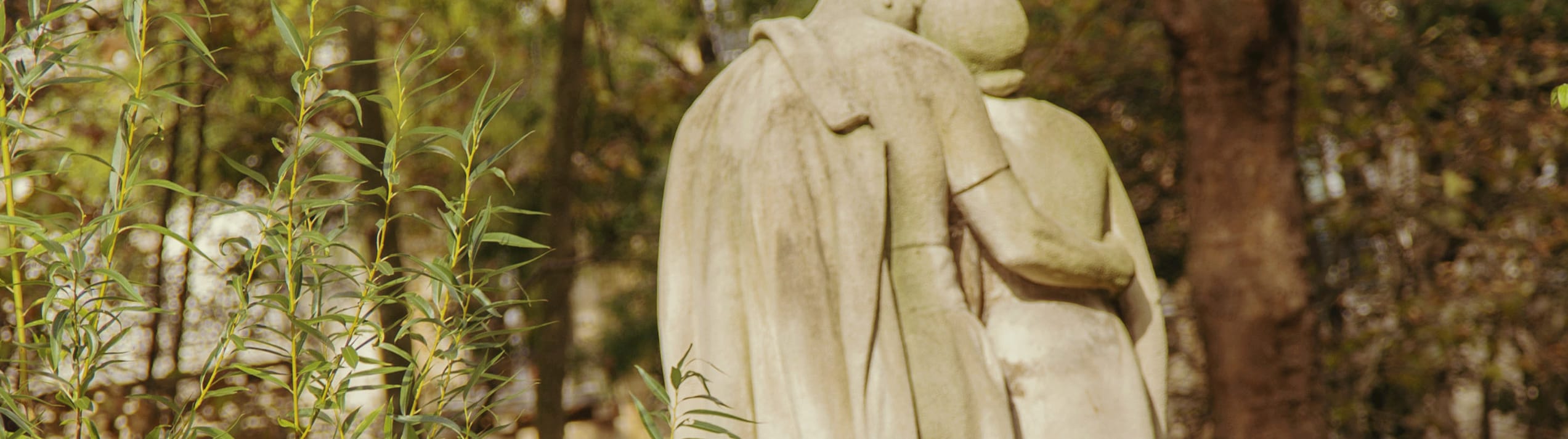 Read more about In Paris, wander to your heart's delight