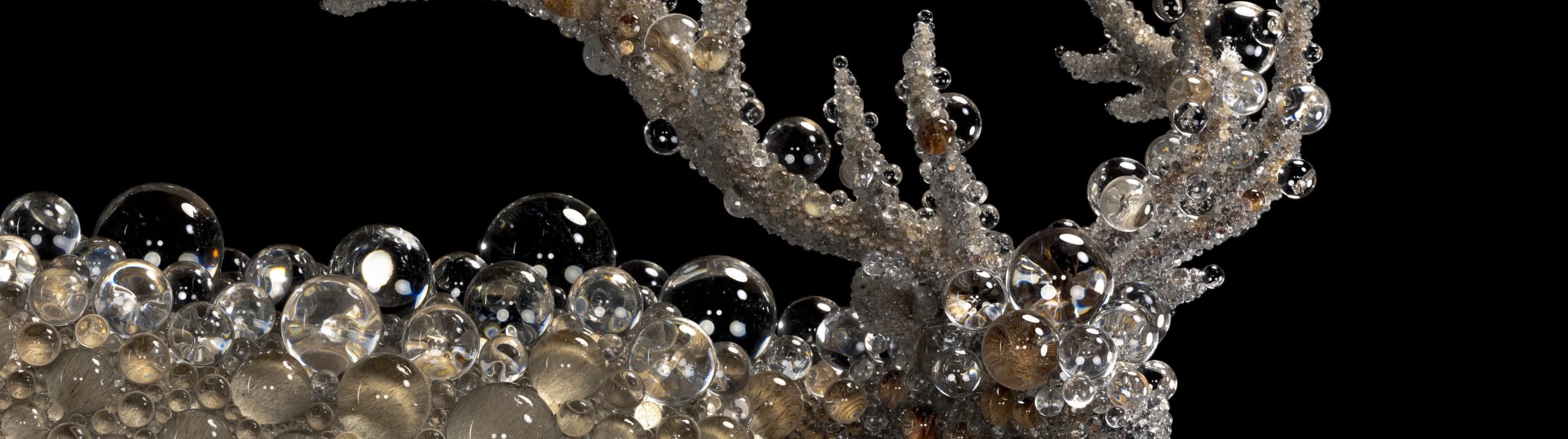 Read more about Meet the artist who turns deer into galaxies