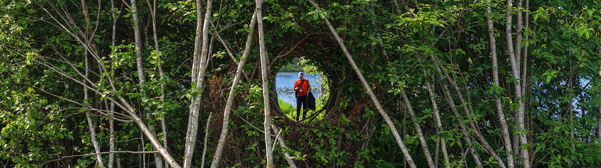 Read more about The European summer’s best-kept secret? Art in the wild