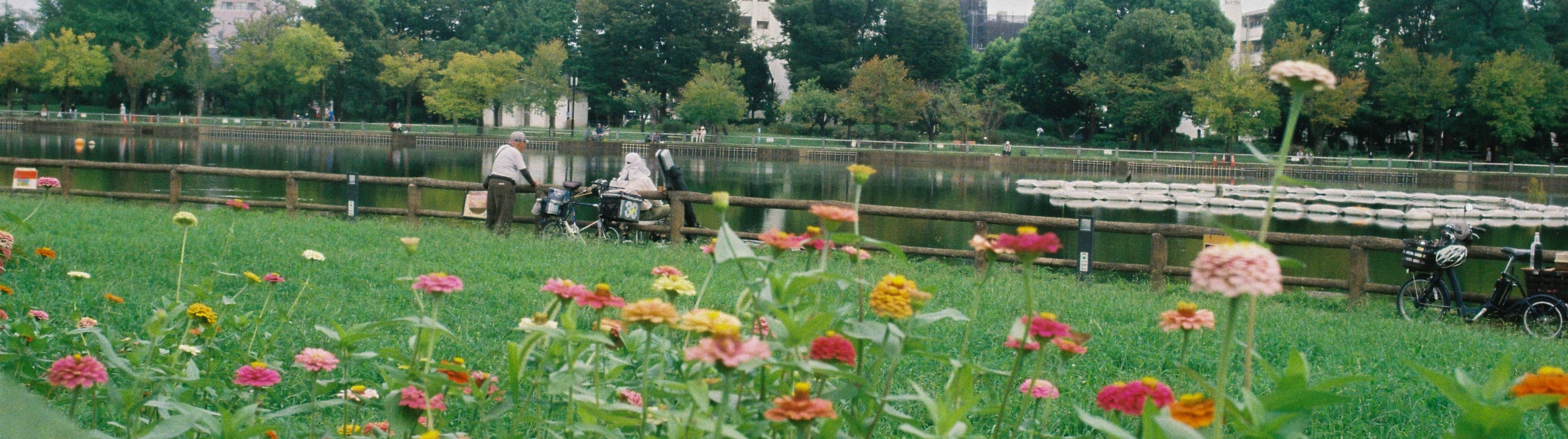 Read more about My Tokyo: artist Gabriel Orozco