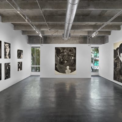 View the Gallery: David Castillo
