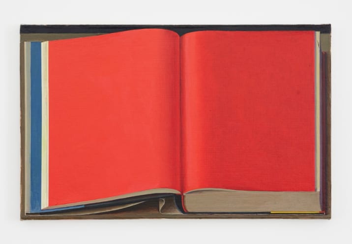 Wolfgang Tillmans | Amazon, 2013 | Art Basel