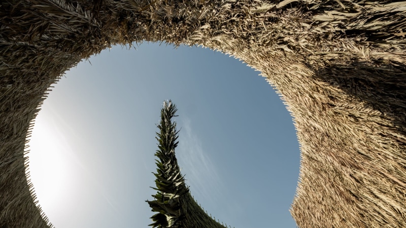 A first look at Art Basel Qatar’s Special Projects by Art Basel Editorial