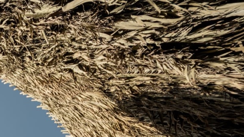 A first look at Art Basel Qatar’s Special Projects by Art Basel Editorial