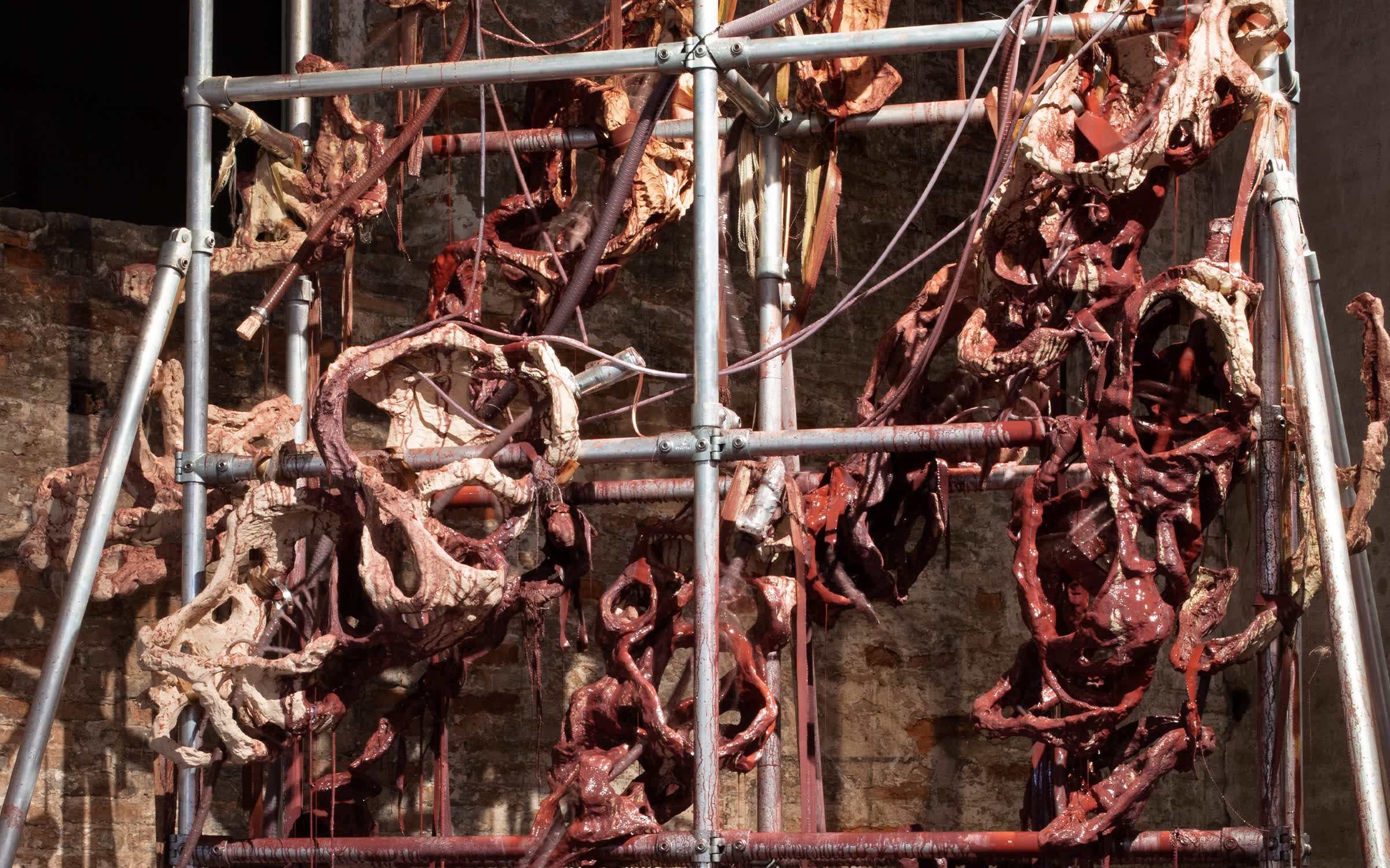 Four Venice Biennale highlights to seek out in Basel
