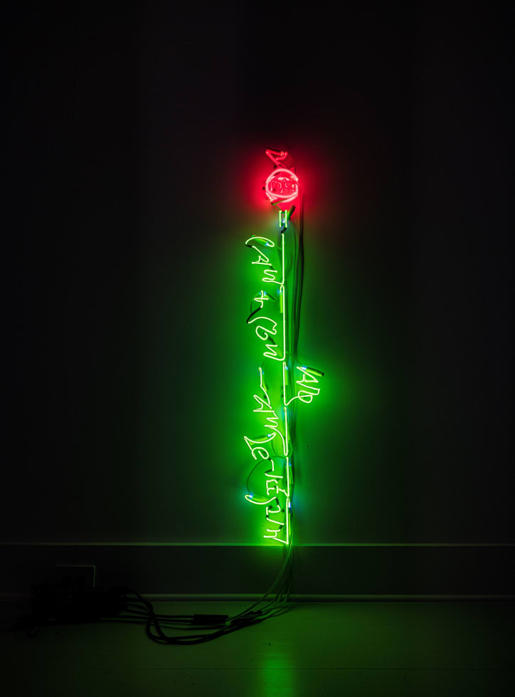 A Model for Cut Rose Stem Elongation where y is 52 (2024) by Jill Magid, which will be presented at Labor’s booth at Art Basel Paris 2024. Courtesy of Labor Gallery, Mexico. 