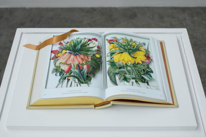 Jill Magid, Crown Imperial, 2022. Exhibition view of “Labor Days”, Labor, Mexico, 2022. Photograph by Diego Berruecos. Courtesy of Labor Gallery, Mexico. 