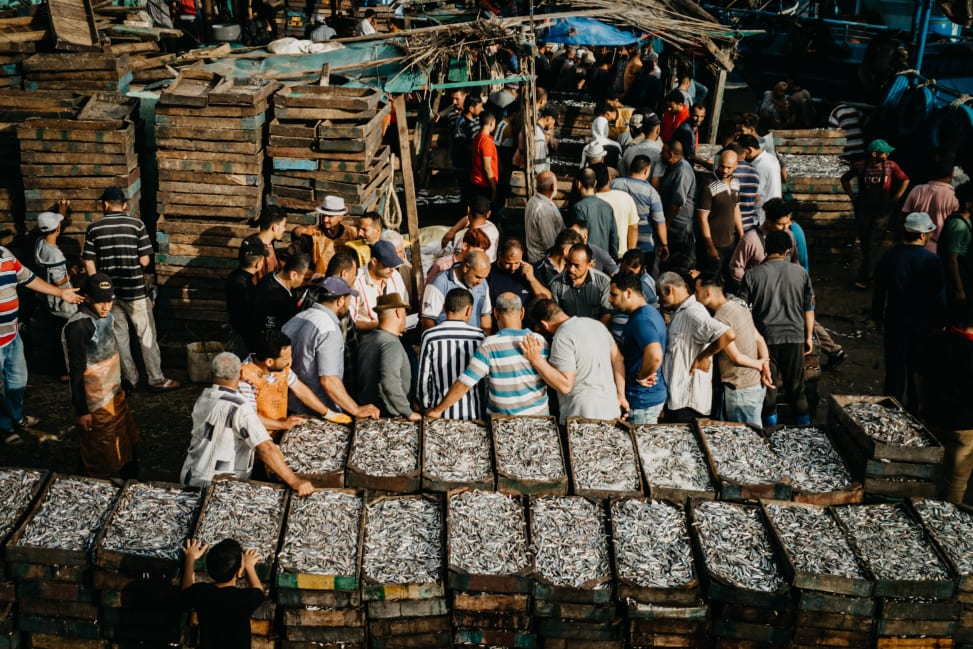 Fish auction at Port Rashid. Photograph by Fares Elsayed