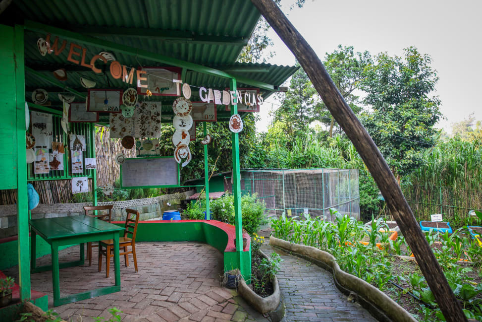 Zoma Museum’s garden and outdoor classroom. Photograph by Alice Hendy.

