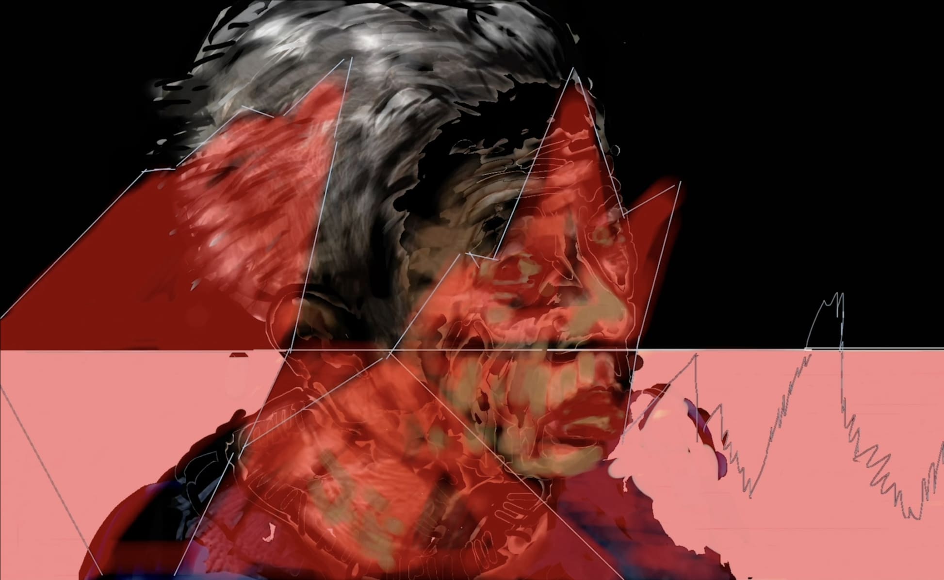 Nalini Malani, 'My Reality Is Different', 2023-2026. Film still. Courtesy of the artist