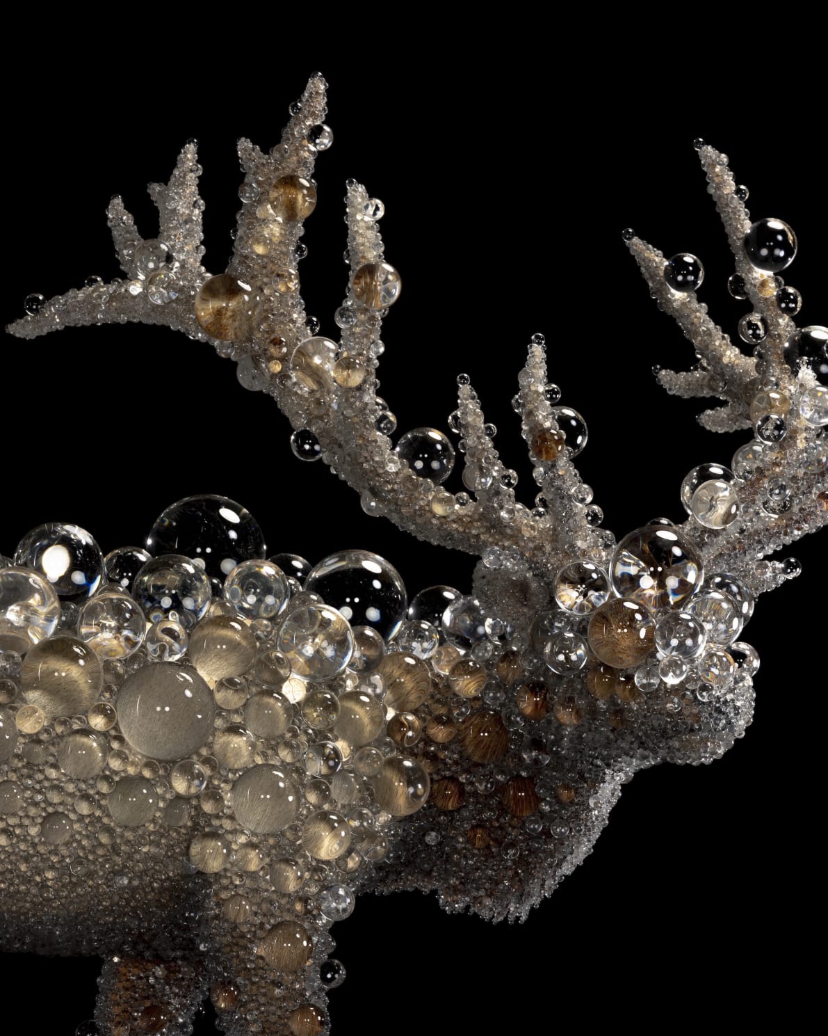Meet the artist who turns deer into galaxies | Art Basel