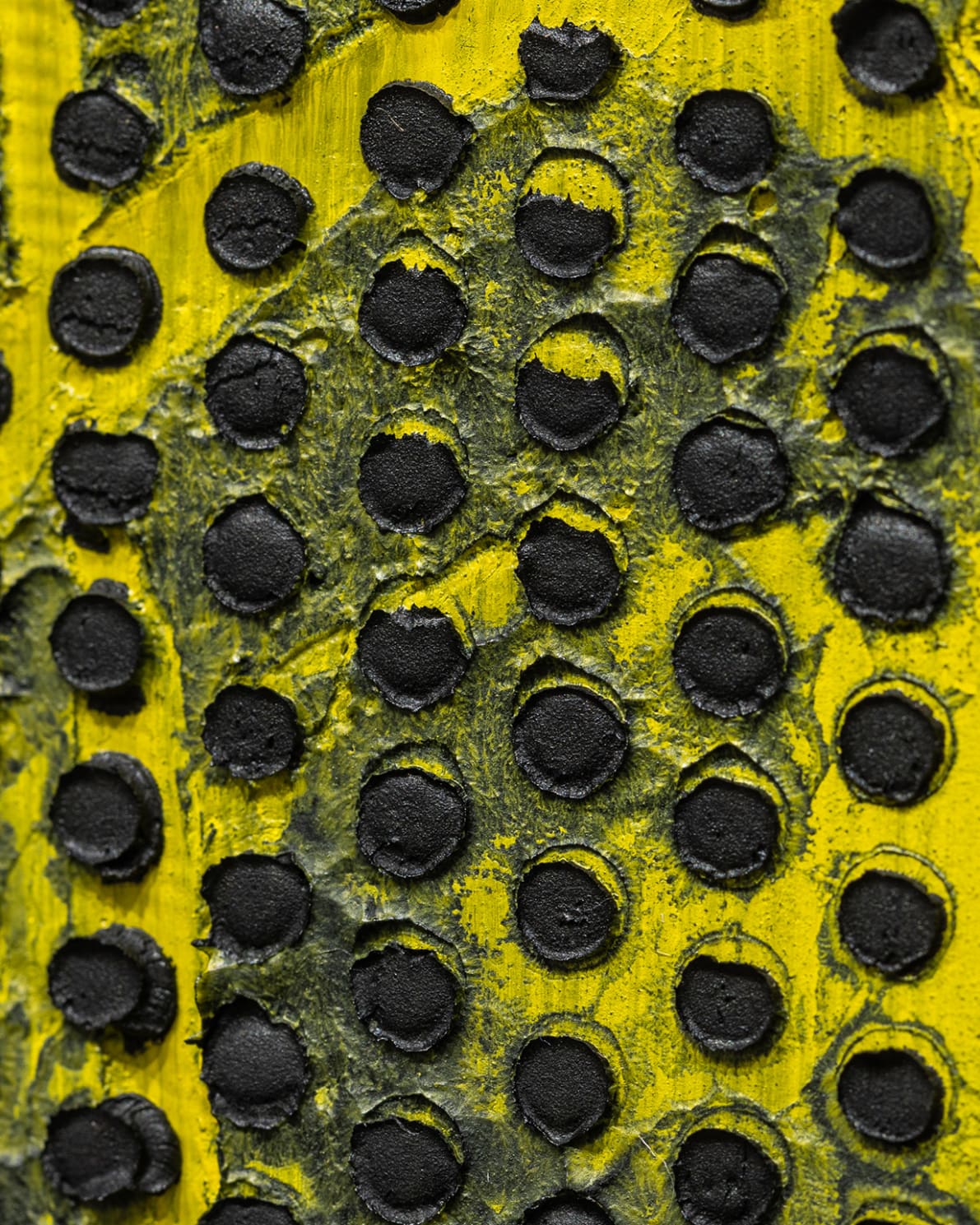Photographers A-Z : Hans-Michael Koetzle : 9783836554367