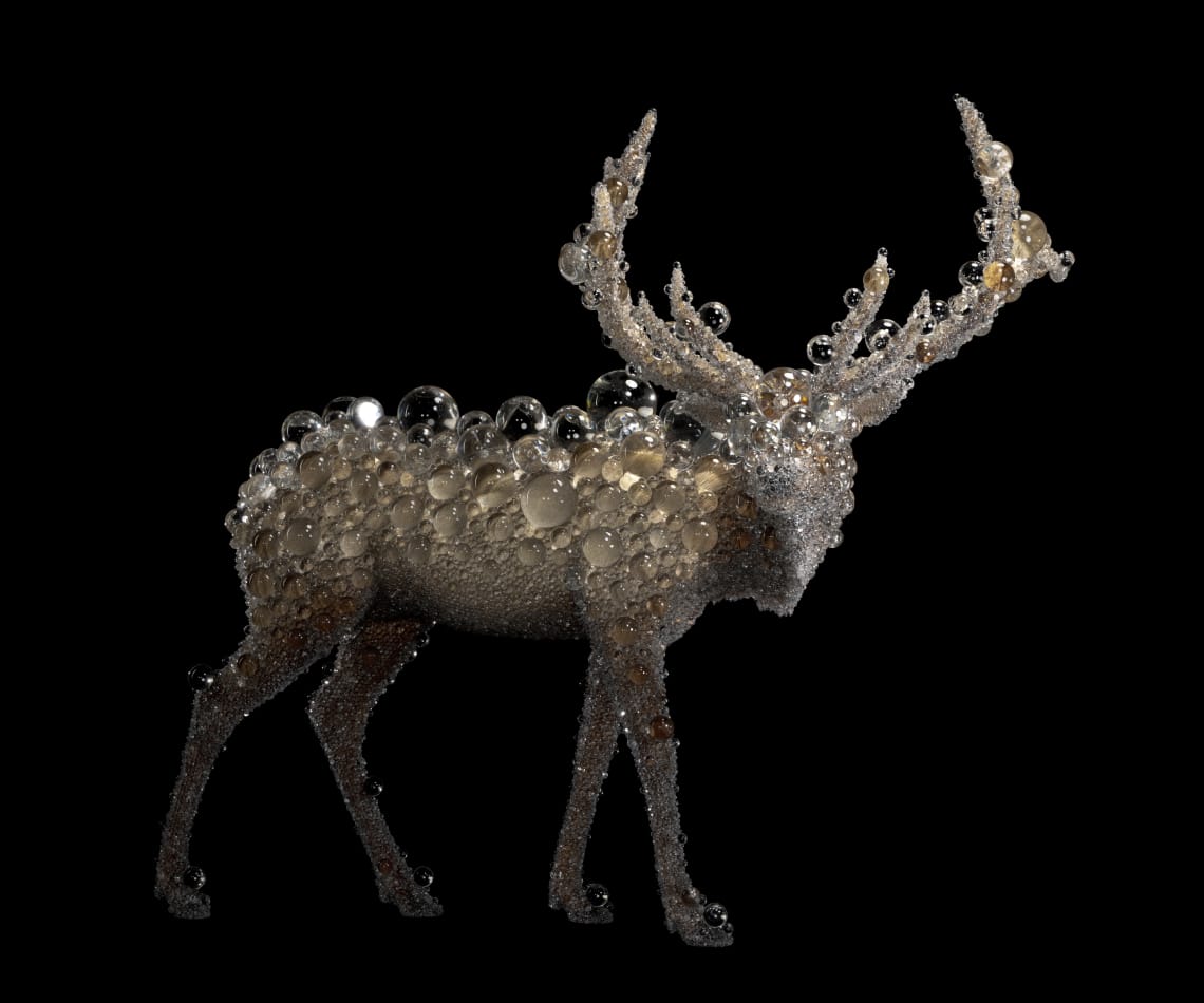 Meet the artist who turns deer into galaxies | Art Basel