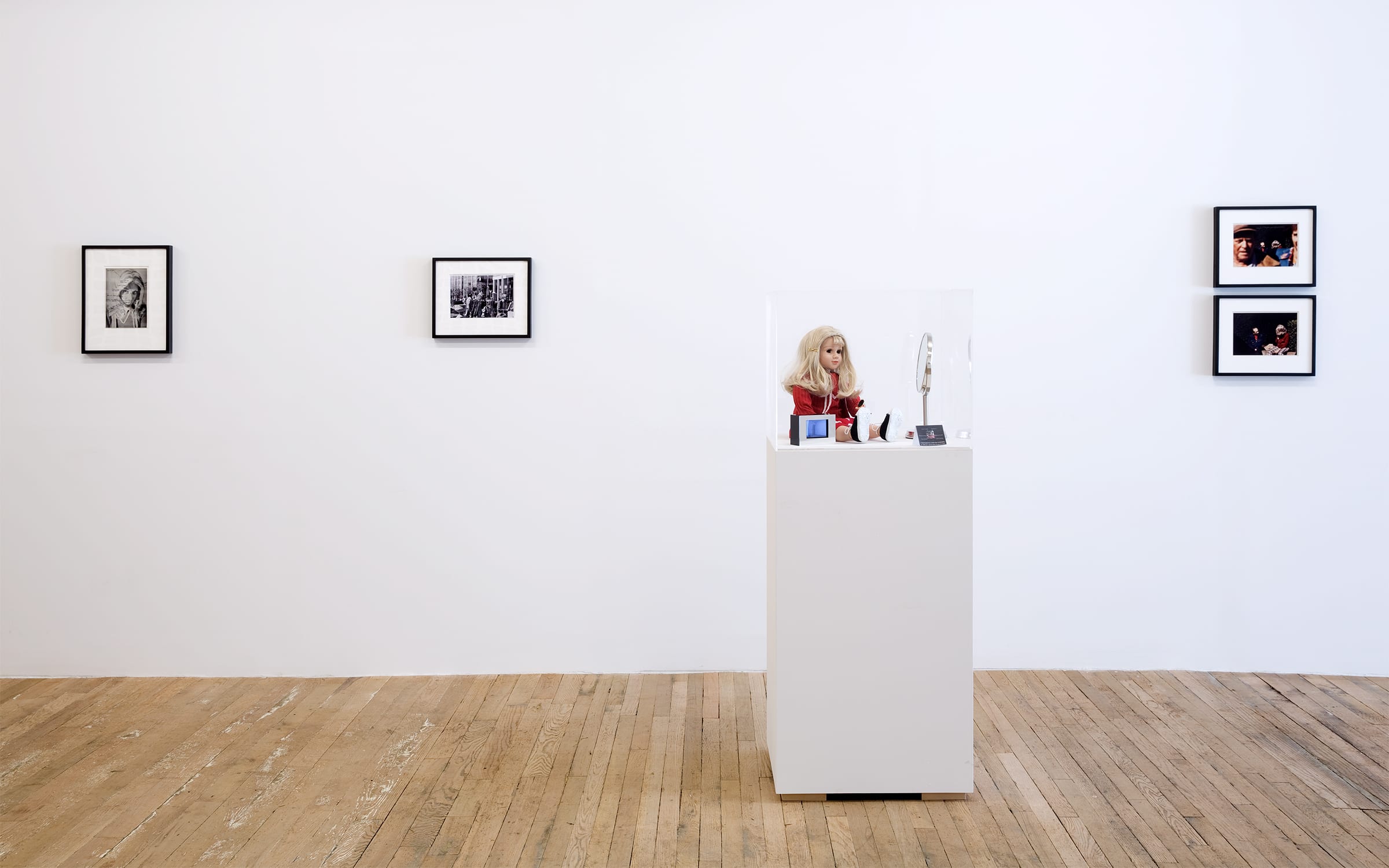 Installation view of Lynn Hershman Leeson'a exhibition ‘Origins of the Species’ at Bridget Donahue, New York City, February  2015. Hershman Leeson's show was Bridget Donahue's inaugural exhibition. Courtesy of the artist and Bridget Donahue, New York City.Photo: Marc Tatti.
