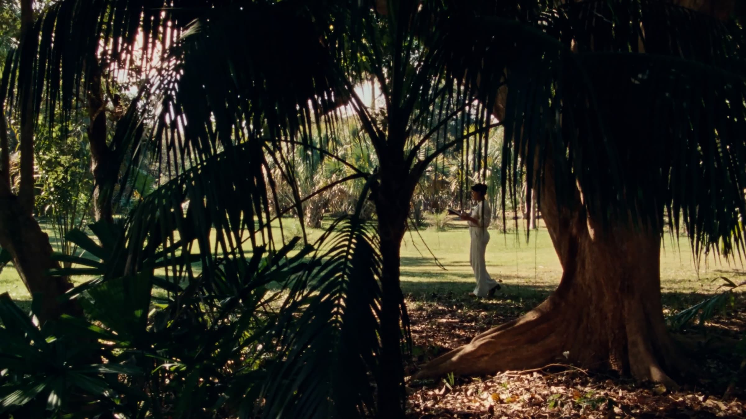 Madeleine Hunt-Ehrlich, Still from Too Bright to See (Part I), 2023. Film still.