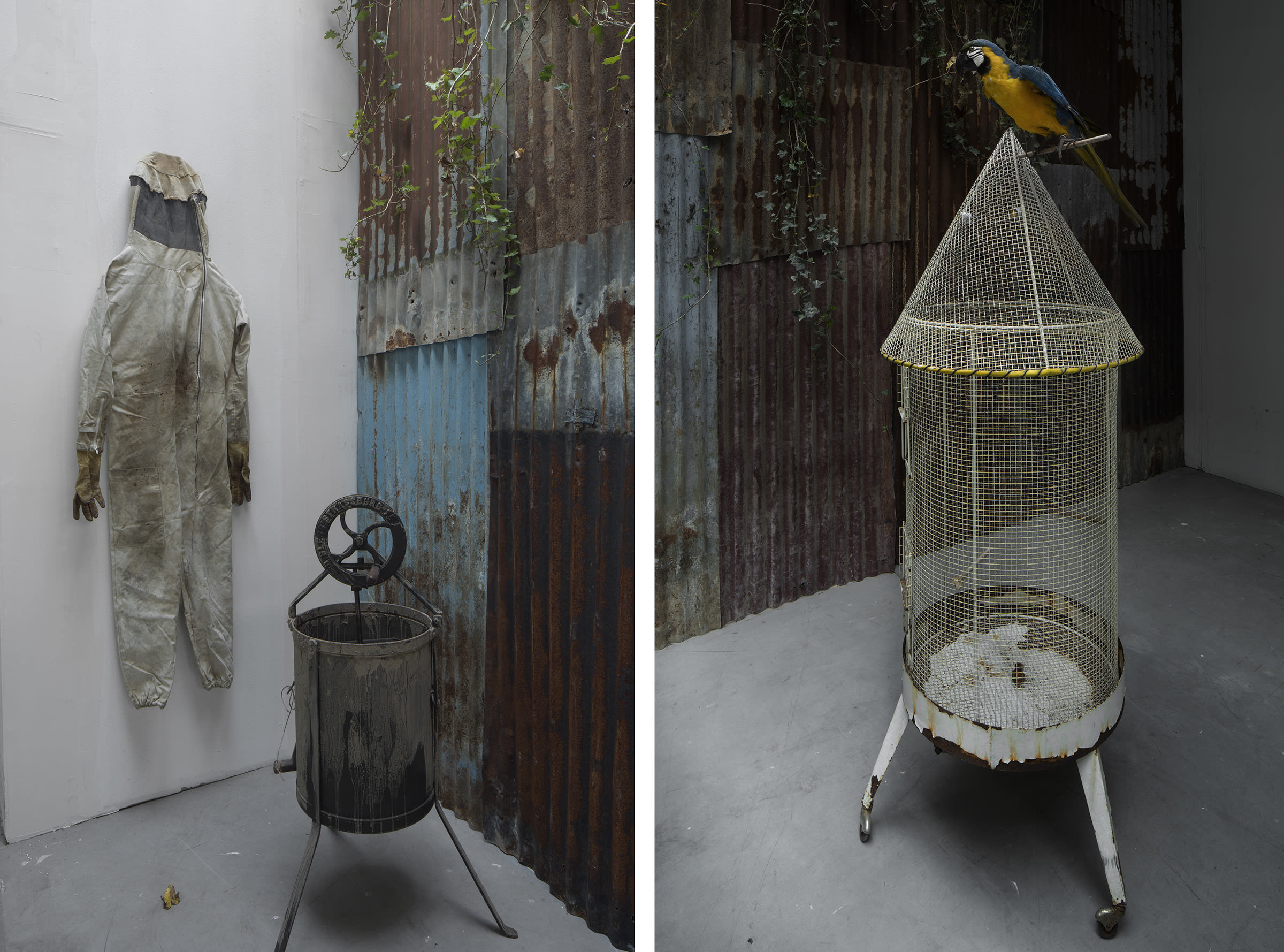 Hiroshi Sugimoto, The Bee Keeper (left) and The Euthanasia Association Chairman (right), 2014. Installation views at Sugimoto’s exhibition 'Aujourd’hui le monde est mort [Lost Human Genetic Archive]' at Palais de Tokyo in 2014. © Hiroshi Sugimoto.