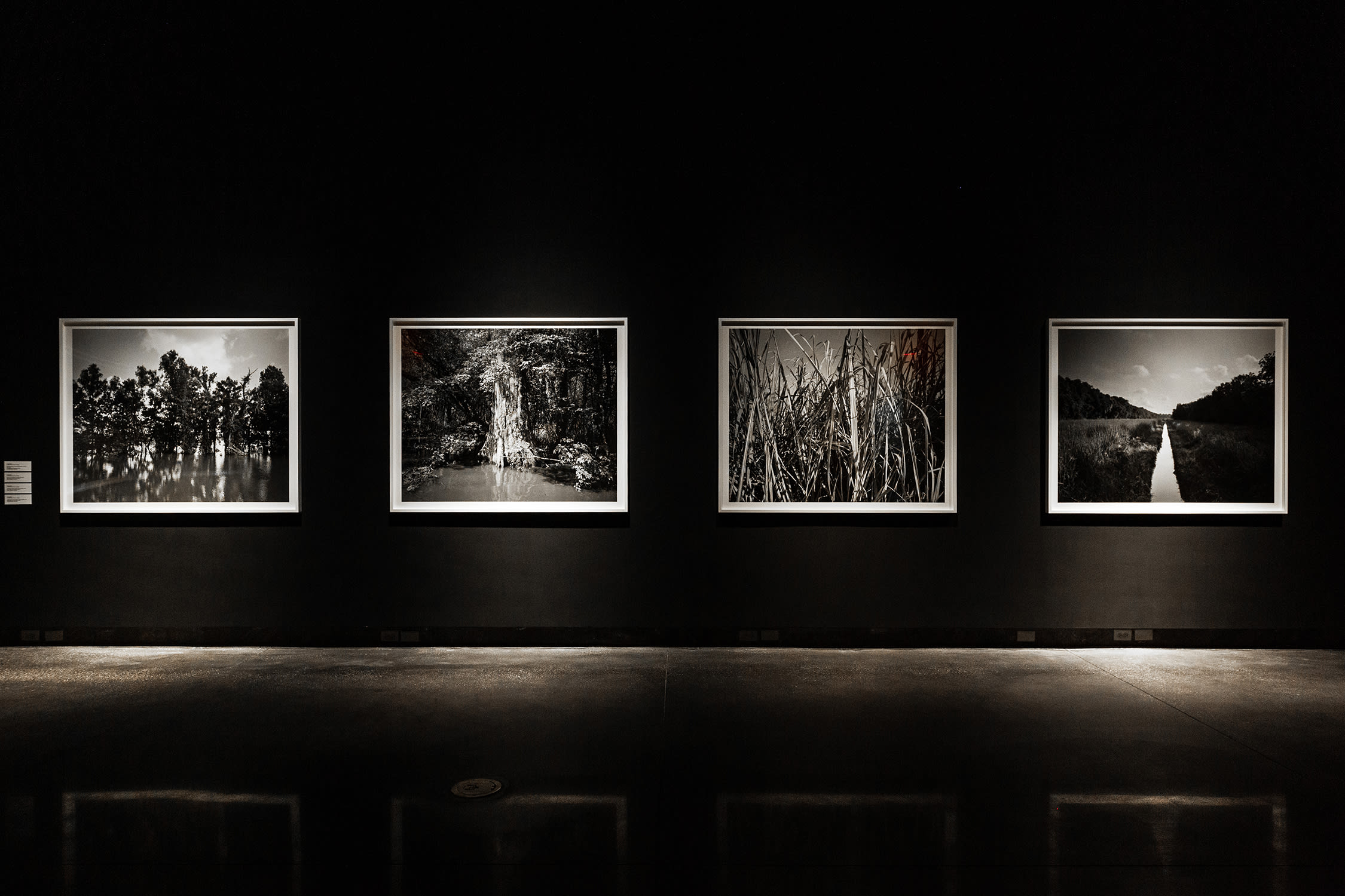 Installation view of works from 2019 by Dawoud Bey at the Historic New Orleans Collection, part of Prospect.5, 'Yesterday we said tomorrow', 2021–22. Photo by Jose Cotto.