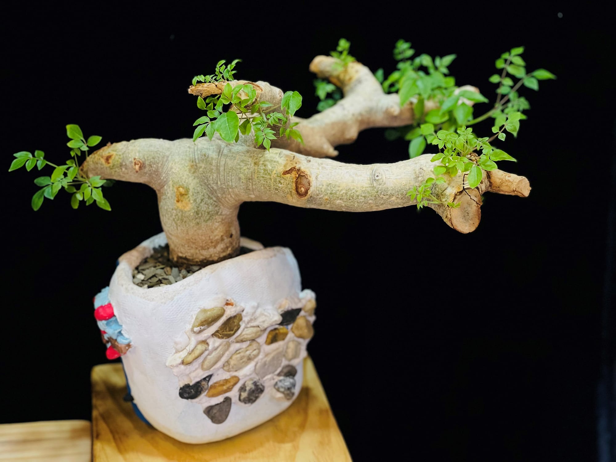What defines Southeast Asia? In Singapore, S.E.A. Focus wants to find out |  Art Basel