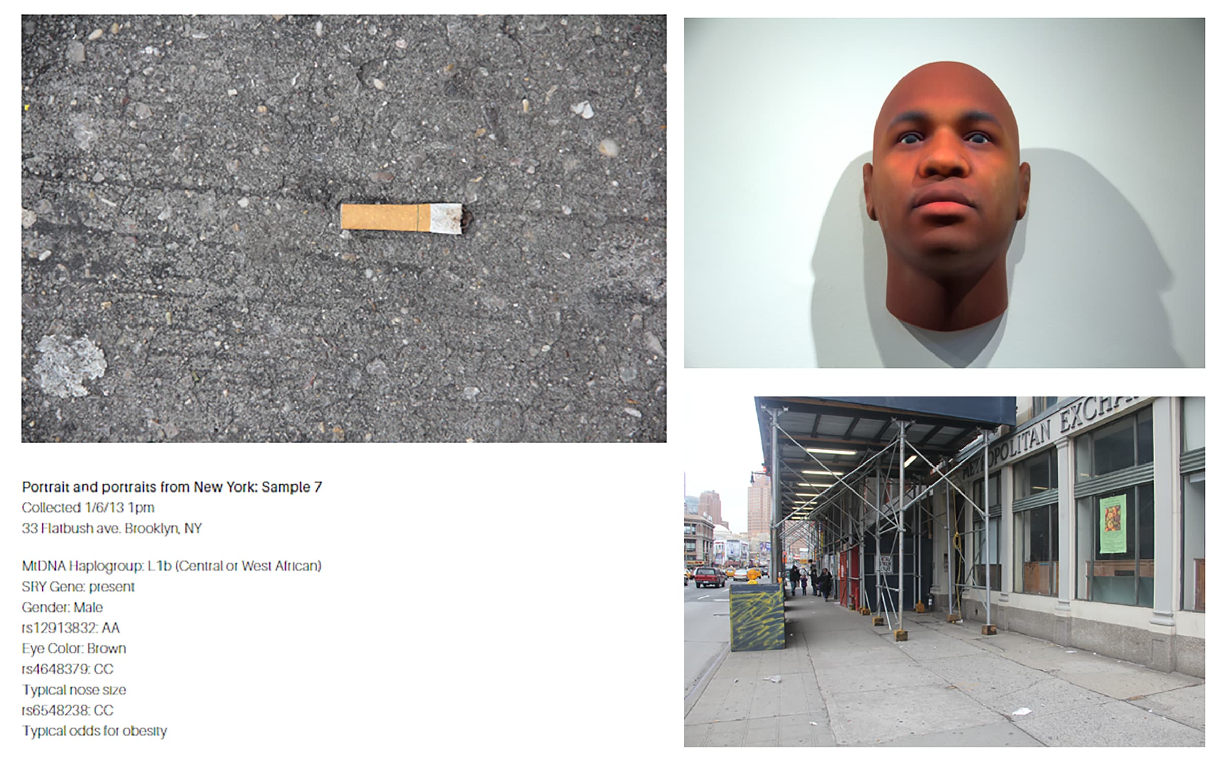 Left and right: Heather Dewey-Hagborg, Stranger Visions, New York: Sample 7, 2012-2013.