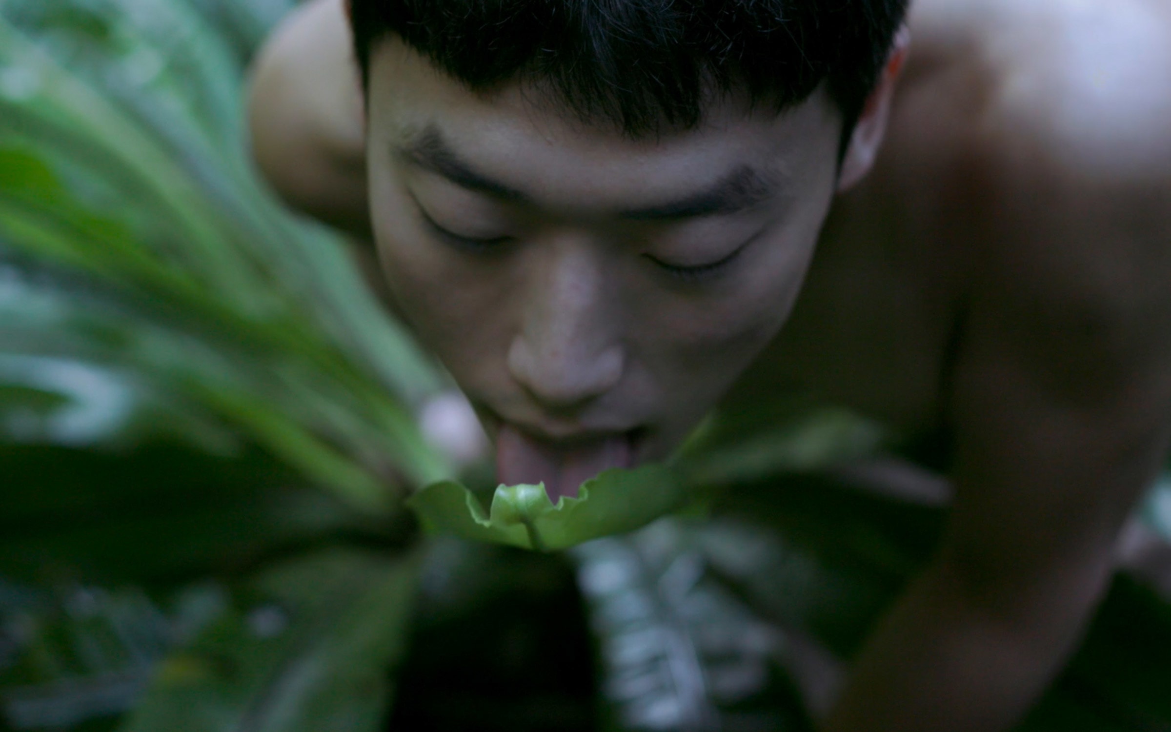 Zheng Bo, Pteridophilia II, 2018. Film still from 4K video, color, sound, 20min. Courtesy of the artist and Edouard Malingue Gallery, Hong Kong and Shanghai.