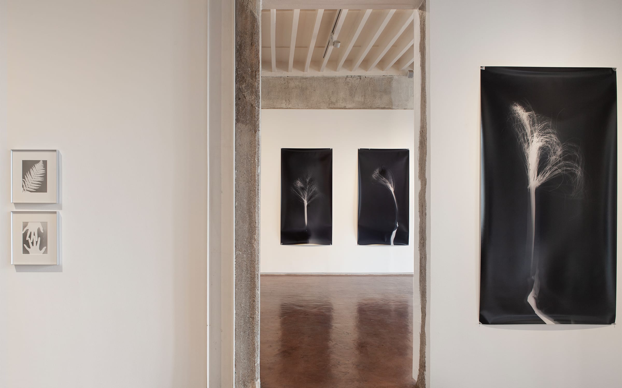 Installation view of ‘Contact’, with works by Simryn Gill and Anwar Jalal Shemza, Jhaveri Contemporary, Mumbai, February 2023. Courtesy of Jhaveri Contemporary. 