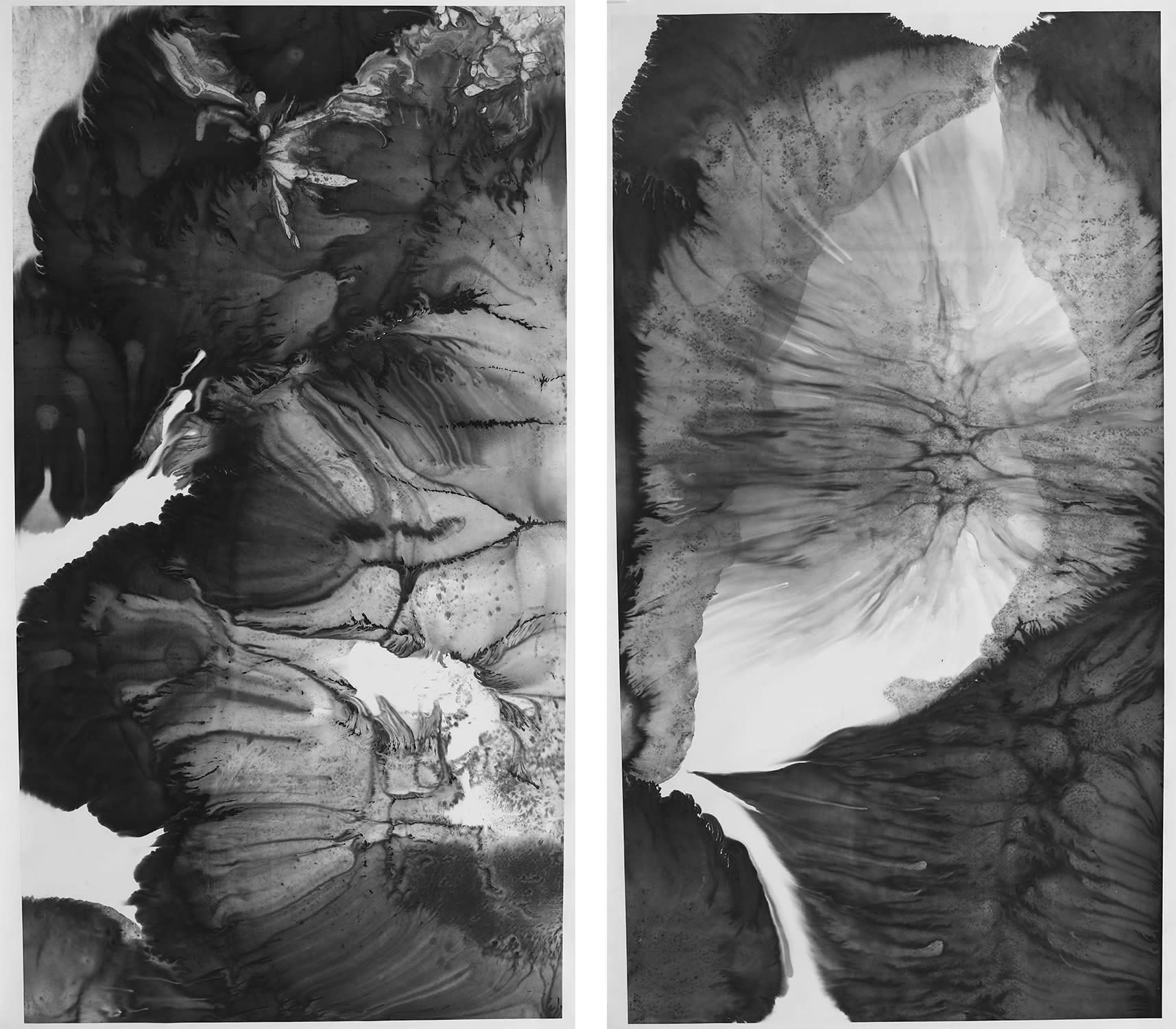 Left: Bingyi, Streams and Mountains, Myriad Flowers No.2, 2021 - 2022. Right: Bingyi, Streams and Mountains, Myriad Flowers No.4, 2021 - 2022. Courtesy of the artist and Ink Studio, Beijing.