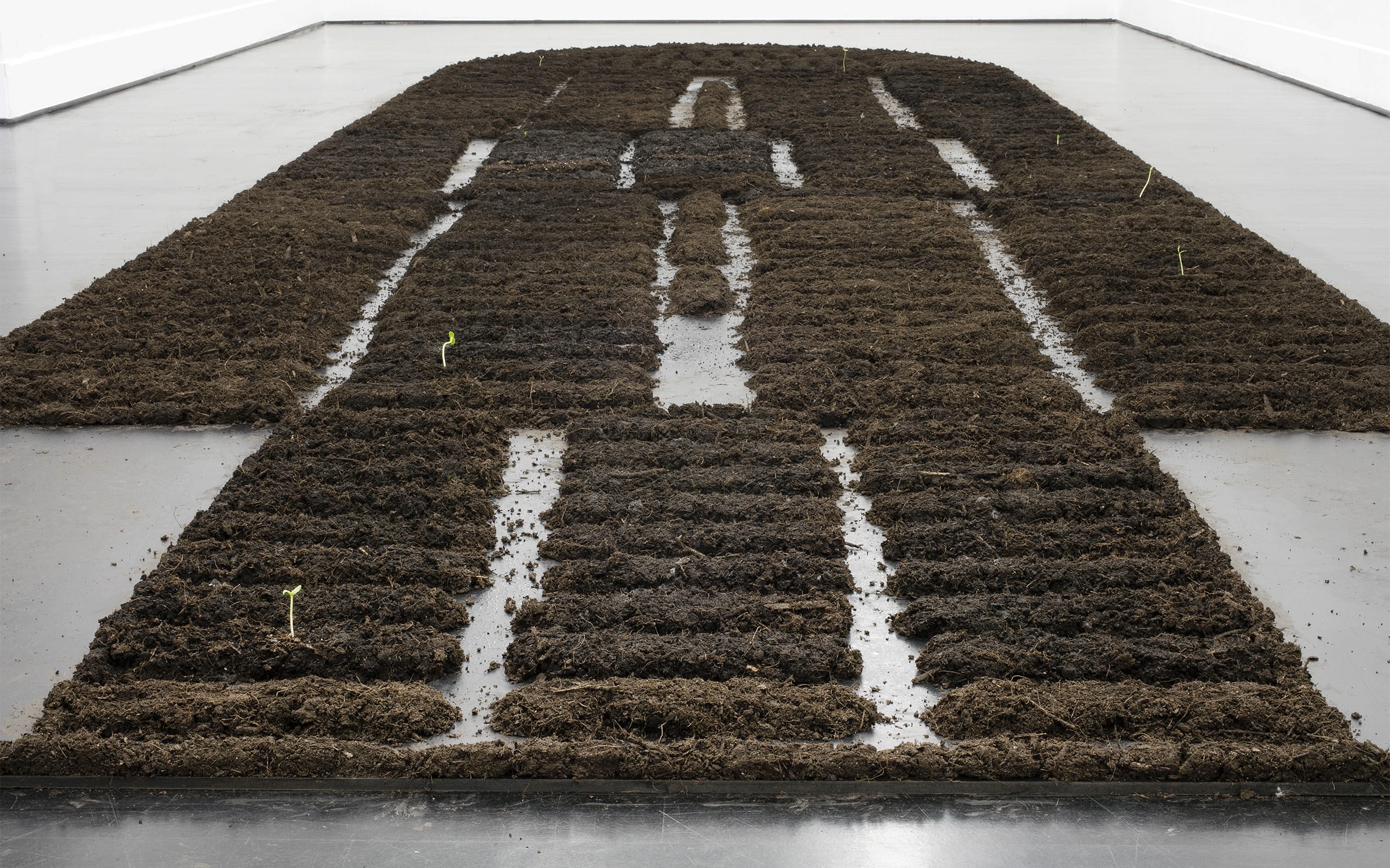 Installation view of Binta Diaw’s artwork Chorus of soil, 2020. Photograph by Antonio Maniscalco. Courtesy of the artist and Galleria Giampaolo Abbondio.
