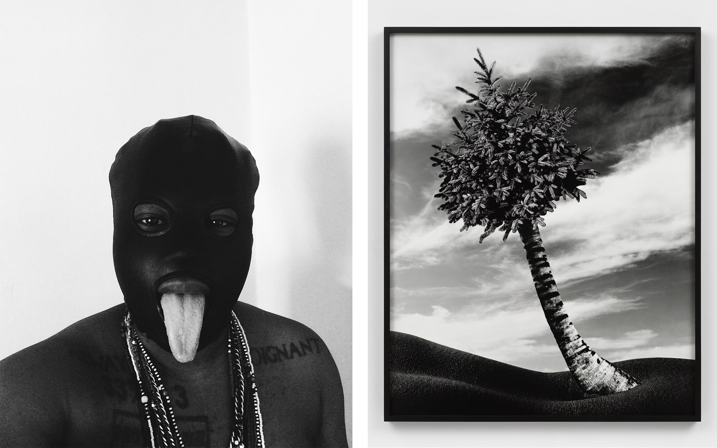 Left: Tiona Nekkia McClodden. Se te subio el Santo, 2016. Courtesy of the artist. Right: Lorraine O’Grady. The Fir Palm, 1991/2012. Alexander Gray Gallery, New York. Photo: Lorraine O’Grady.