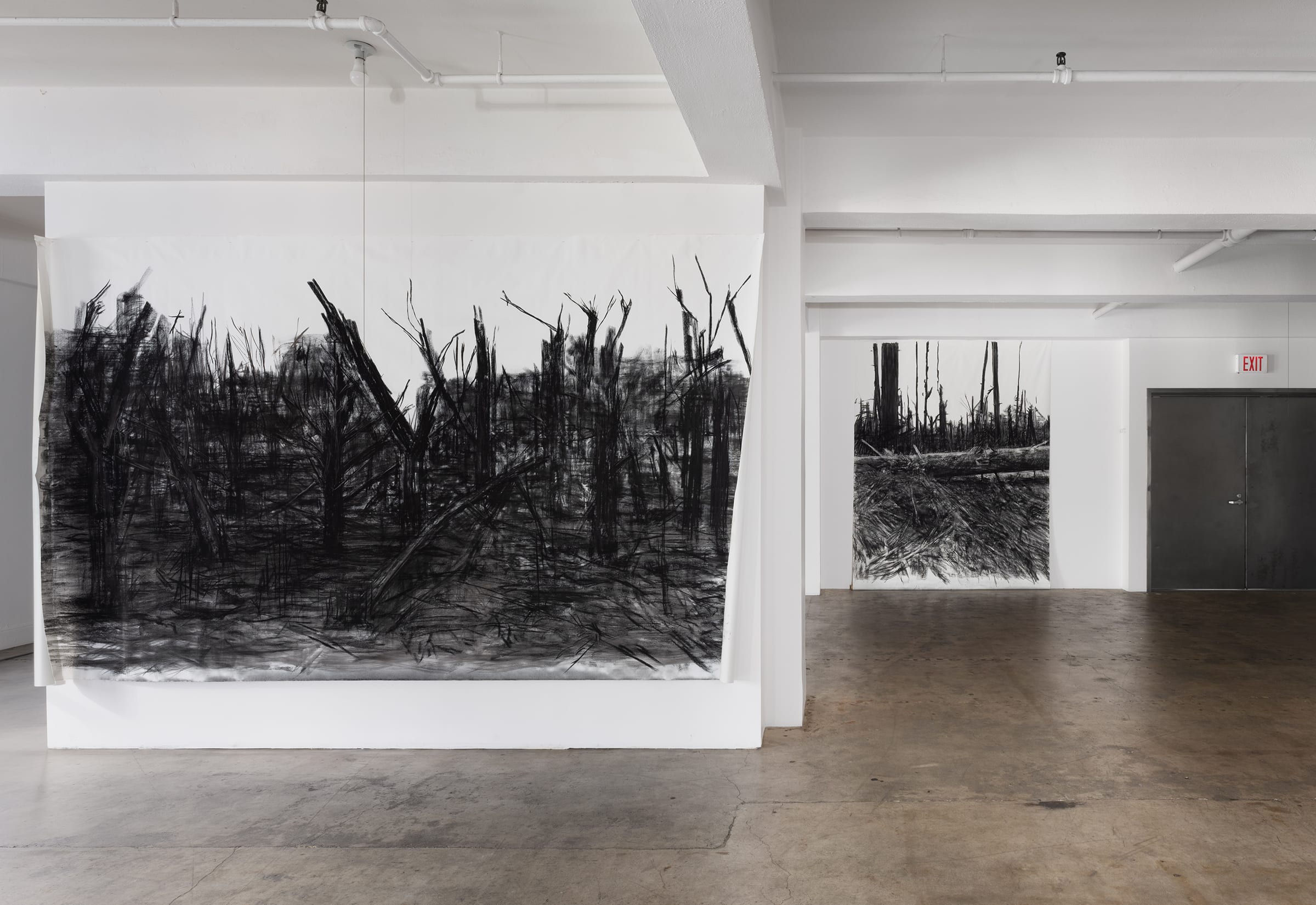Installation photo of Conservation Imperatives at Giovanni's Room, Los Angeles, Winter 2023. The exhibition focused on deforestation and afforestion in war areas.