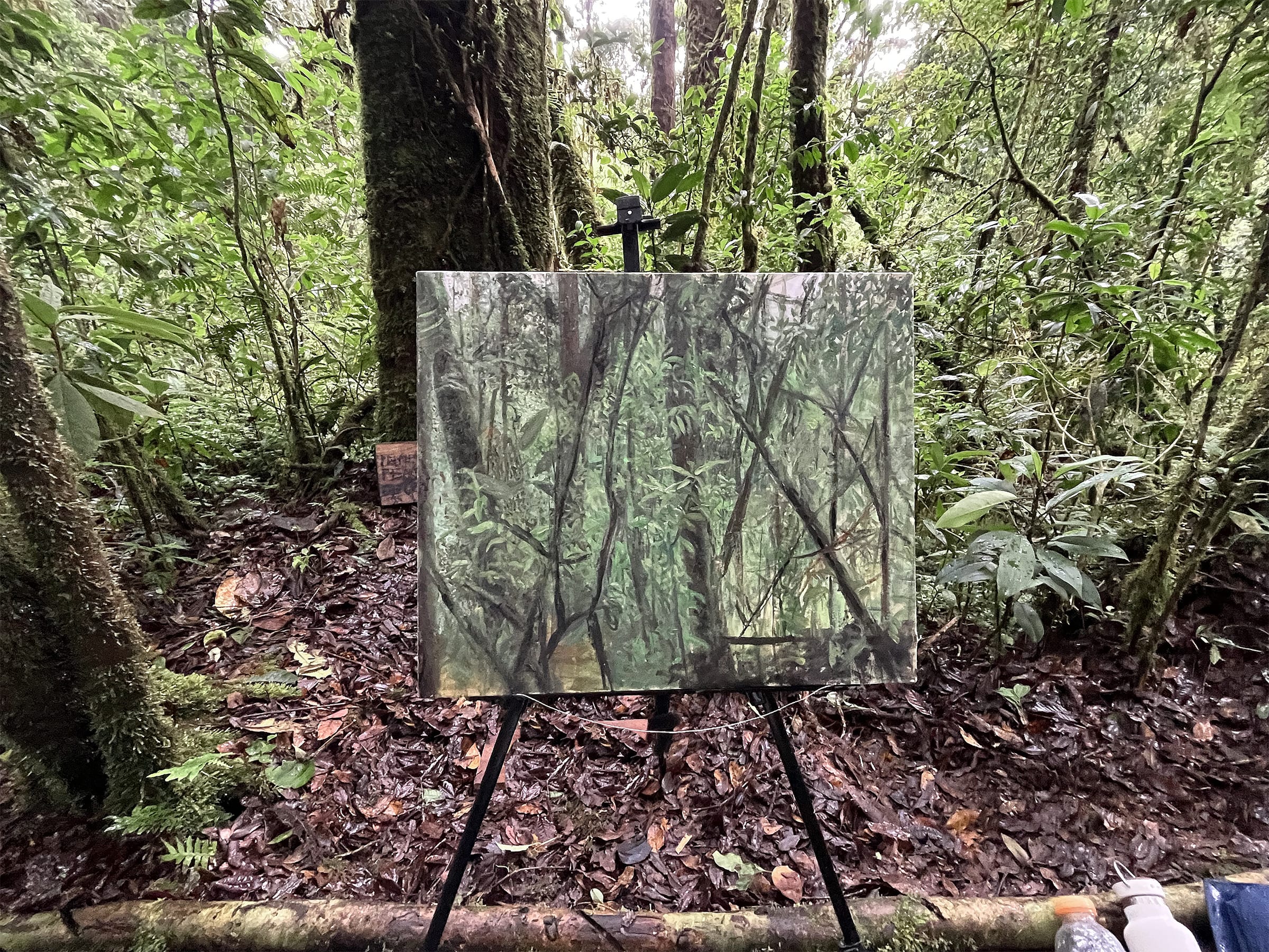Outdoors, painting a work that was exhibited at The Journal Gallery in 2022/23. Photo courtesy the artist.
