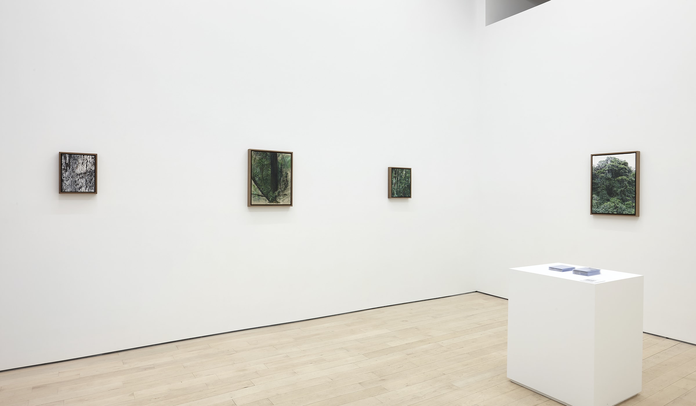 Installation view of The Journal Gallery, 2022/23. Photograph courtesy of Thomas Mueller and The Journal Gallery.