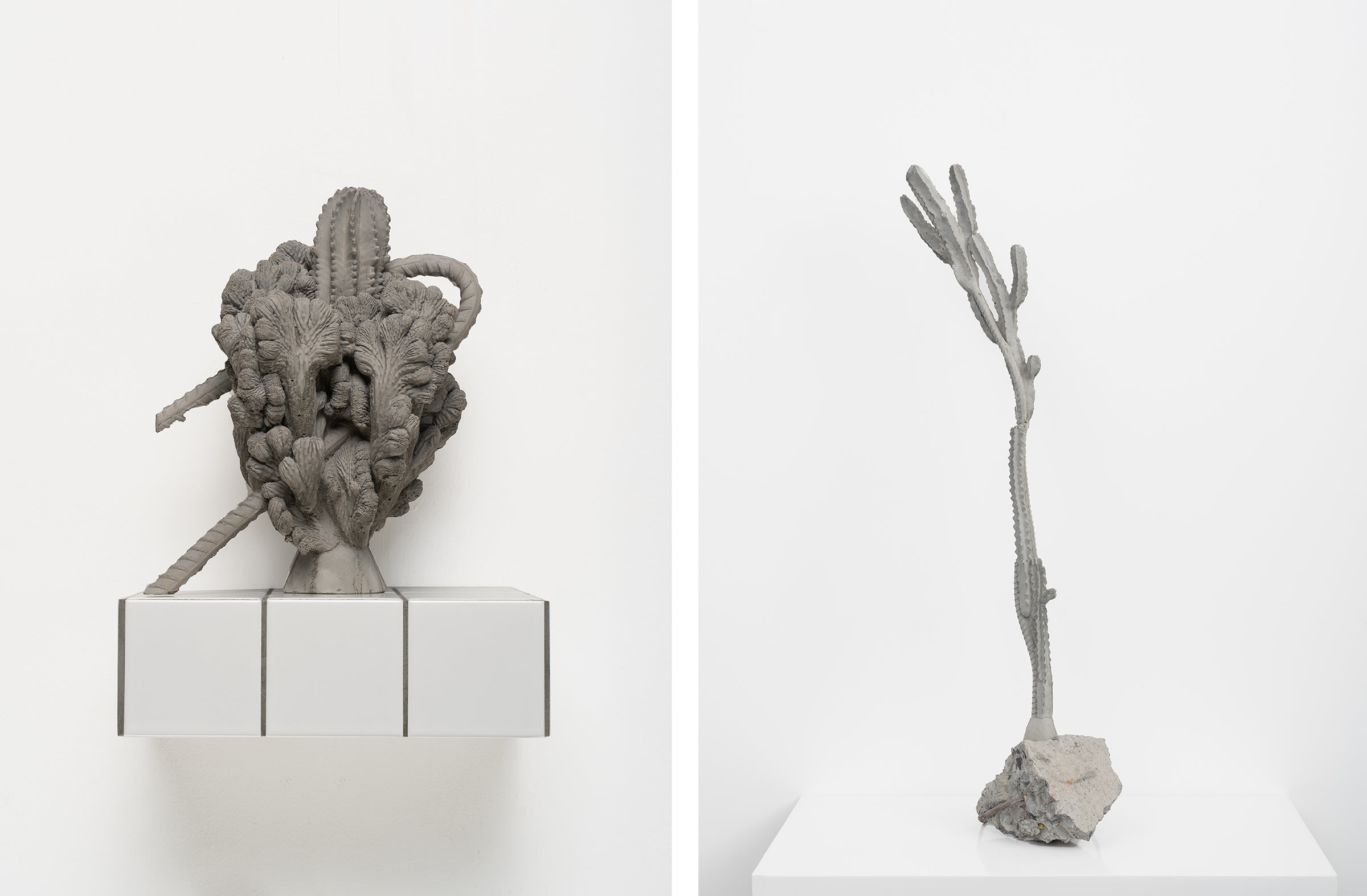 Left: Individual Plant-VC, 2022. Right: Matte Substance-11, 2020. Both works by ​Zhang Ruyi. Courtesy of the artist and Don Gallery.