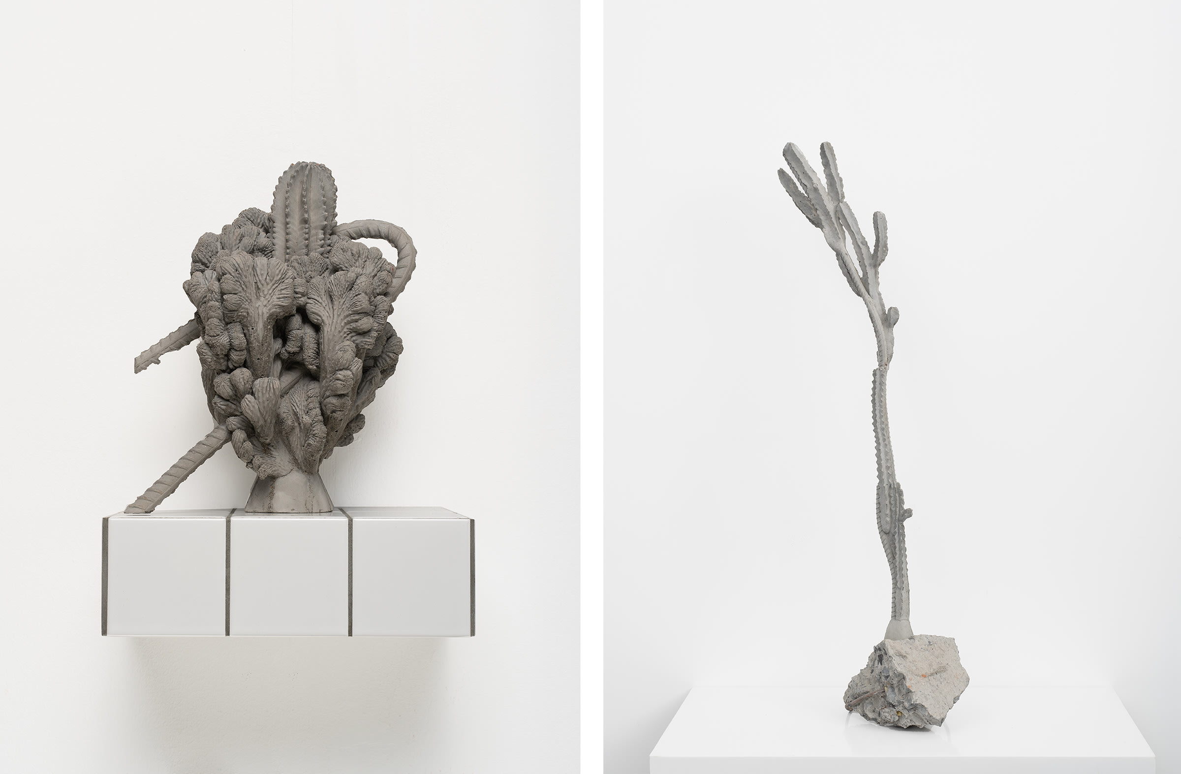 Left: Individual Plant-VC, 2022. Right: Matte Substance-11, 2020. Both works by Zhang Ruyi. Courtesy of the artist and Don Gallery.