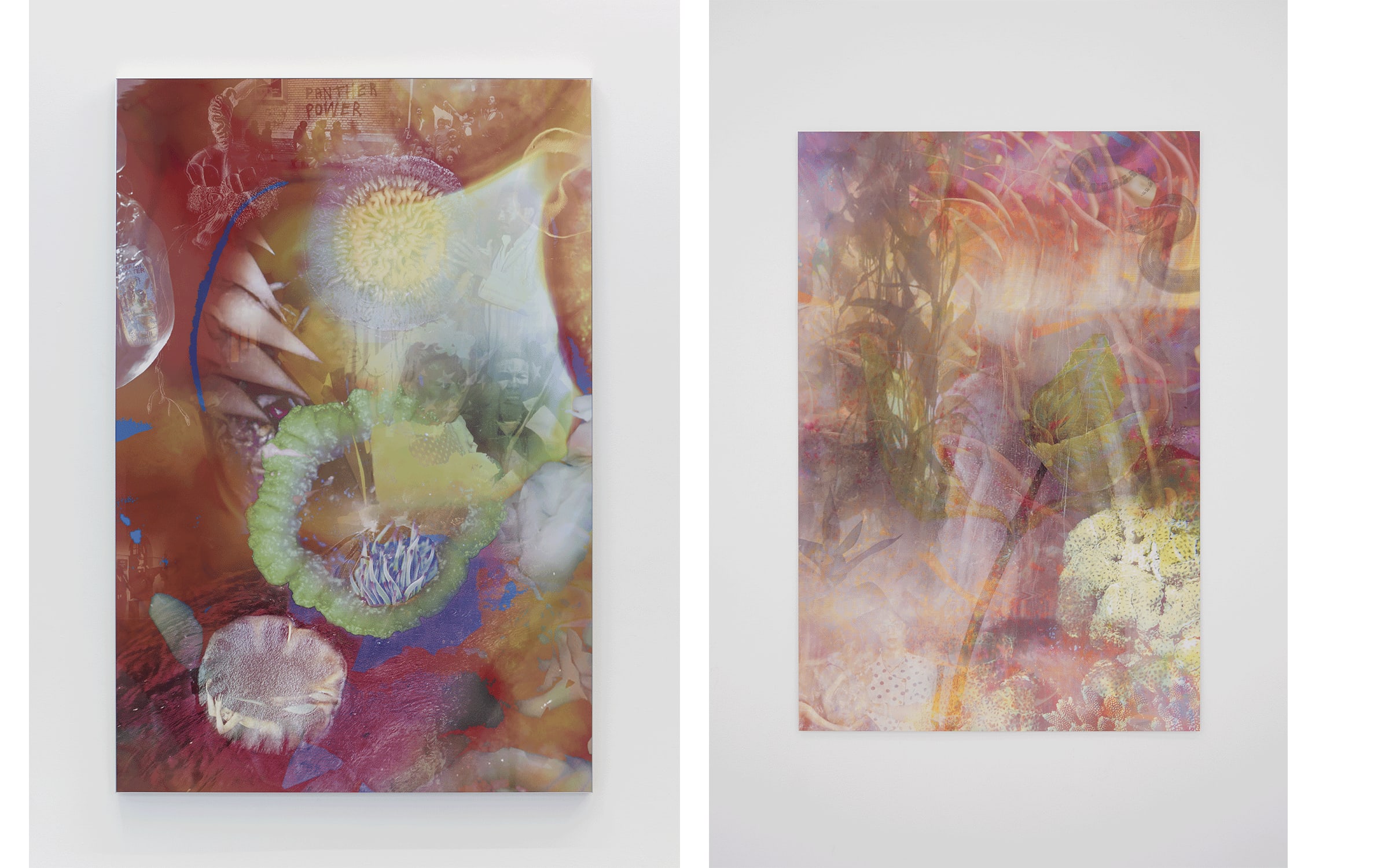 Left: Josèfa Ntjam, Bacteria Water, 2022. Courtesy of the artist and Nicoletti, London. Right: Josèfa Ntjam, Blurry Memories, 2021. Courtesy of the artist and Nicoletti, London.