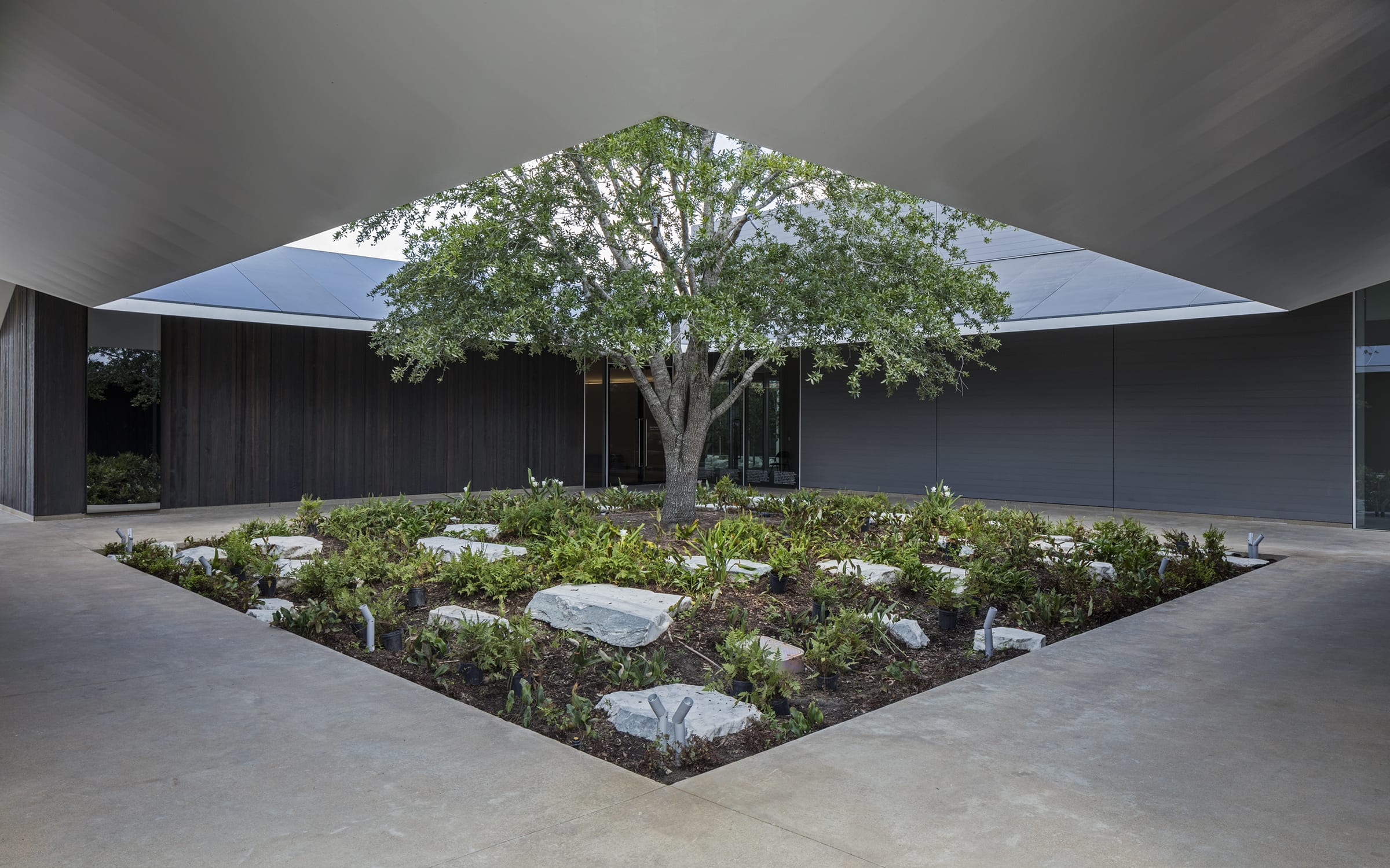 East courtyard at the Menil Drawing Institute. Photograph by Richard Barnes. Courtesy of the Menil Collection and Johnston Marklee. 