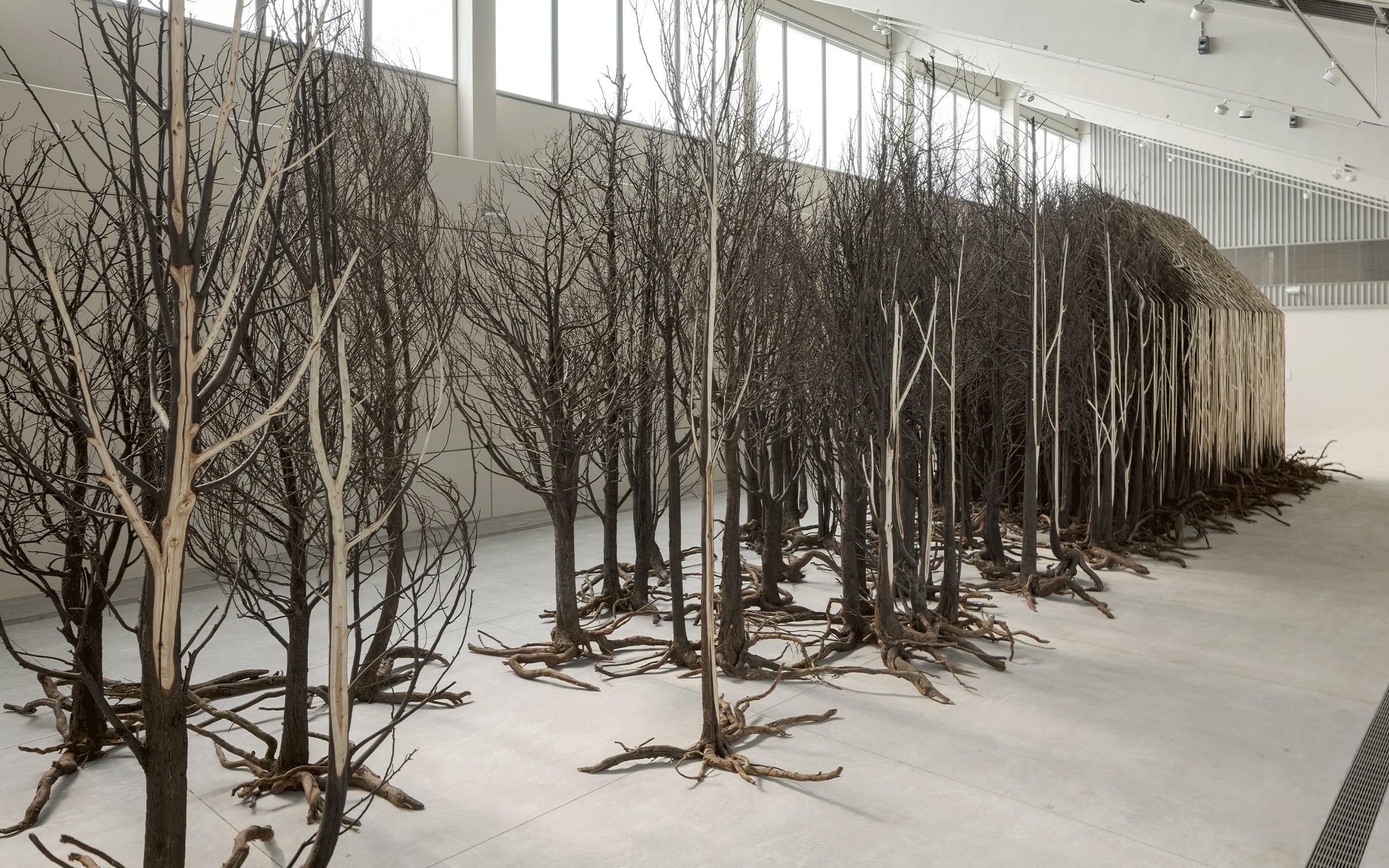 Installation view of Doris Salcedo’s artwork Uprooted, 2020–2022, Sharjah Biennial 15, Kalba Ice Factory, Sharjah Art Foundation, 2023. Photograph by Juan Castro. Courtesy of the artist.