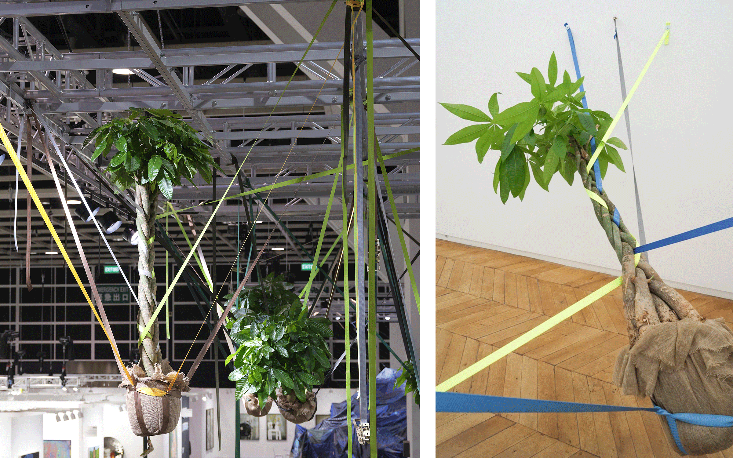 Left: Installation view of Trevor Yeung, Mr. Cuddles Under the Eave at Art Basel Hong Kong 2023 Encounters, 2021. Photograph by South Ho. Courtesy of the artist and Blindspot Gallery. Right: Trevor Yeung, Suspended Mr. Cuddle, 2019. Courtesy of the artist and Galerie Allen.