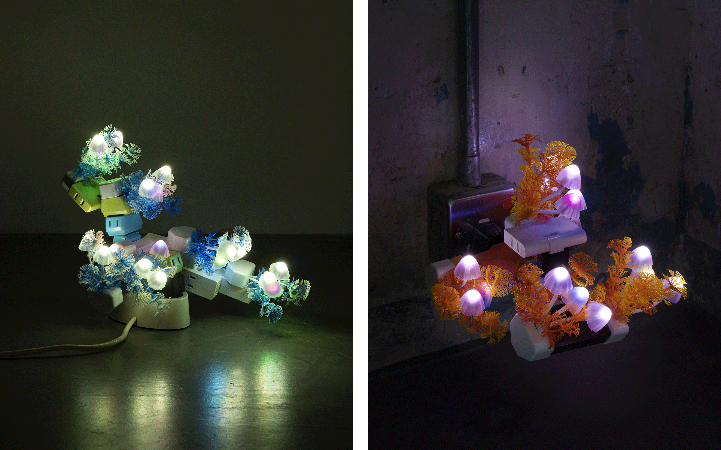 Left: Trevor Yeung, Night Mushroom in shade (table), 2022. Courtesy of the artist and Blindspot Gallery. Right: Trevor Yeung, Night Mushroom Colon (Five), 2022. Courtesy of the artist and Blindspot Gallery 