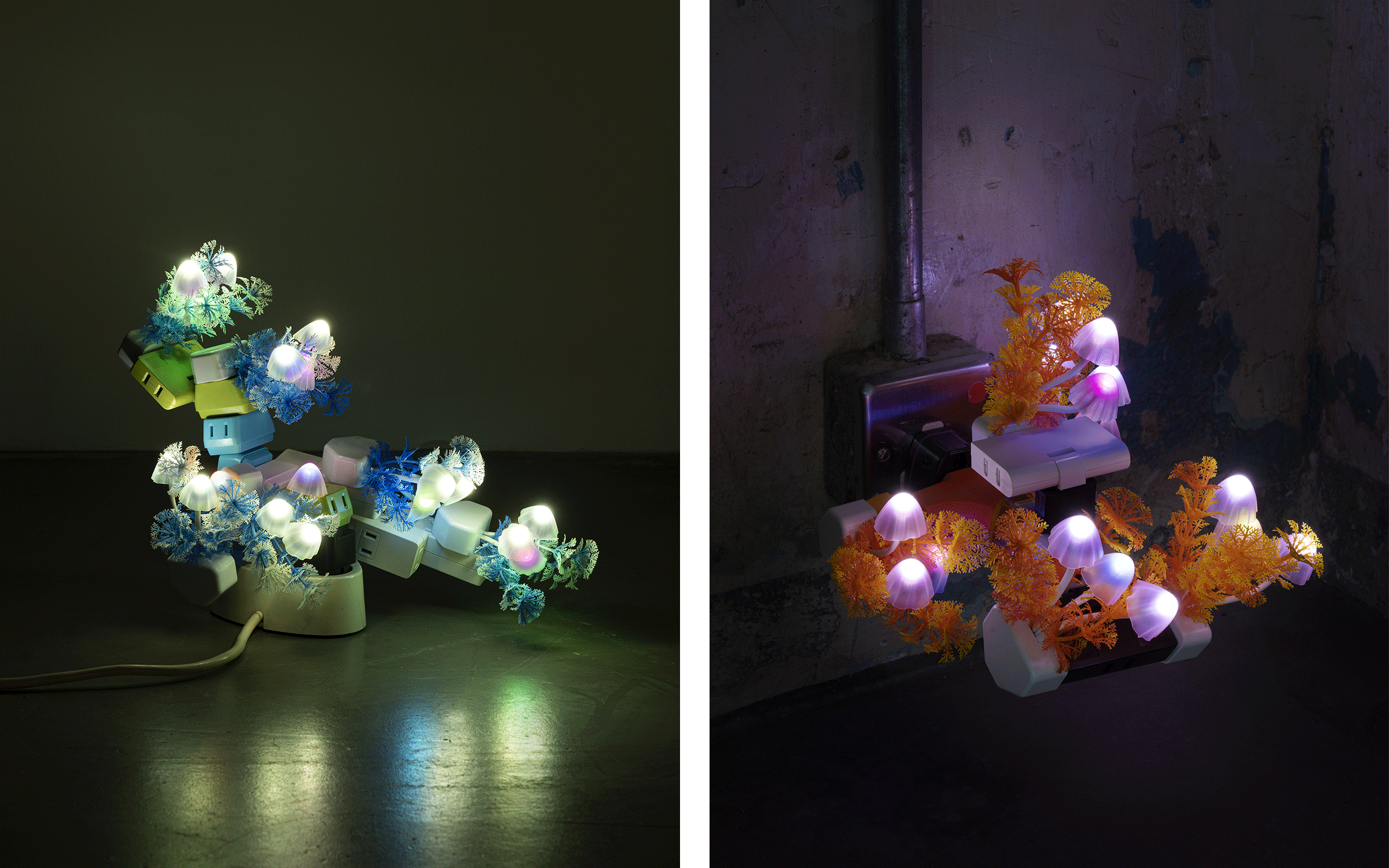 Left: Trevor Yeung, Night Mushroom in shade (table), 2022. Courtesy of the artist and Blindspot Gallery. Right: Trevor Yeung, Night Mushroom Colon (Five), 2022. Courtesy of the artist and Blindspot Gallery