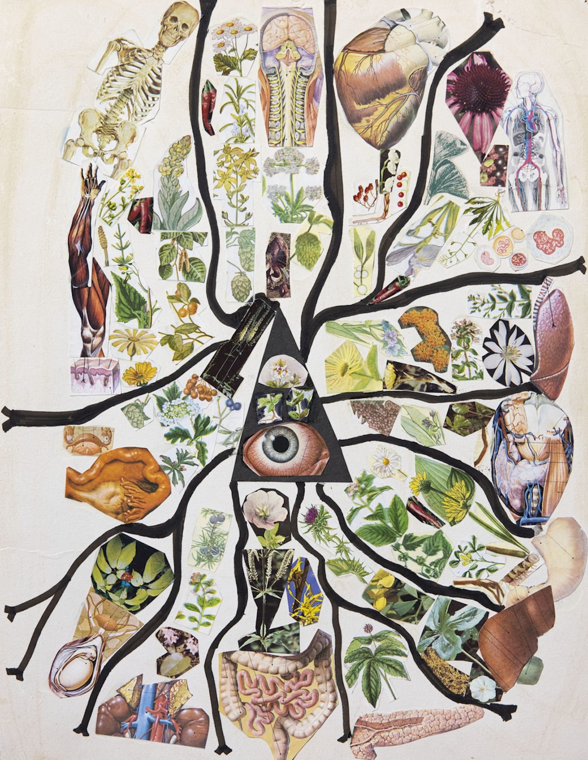 Milford Graves, Collage of Healing Herbs and Bodily Systems, 1994. Courtesy of the artist's estate and Fridman Gallery.