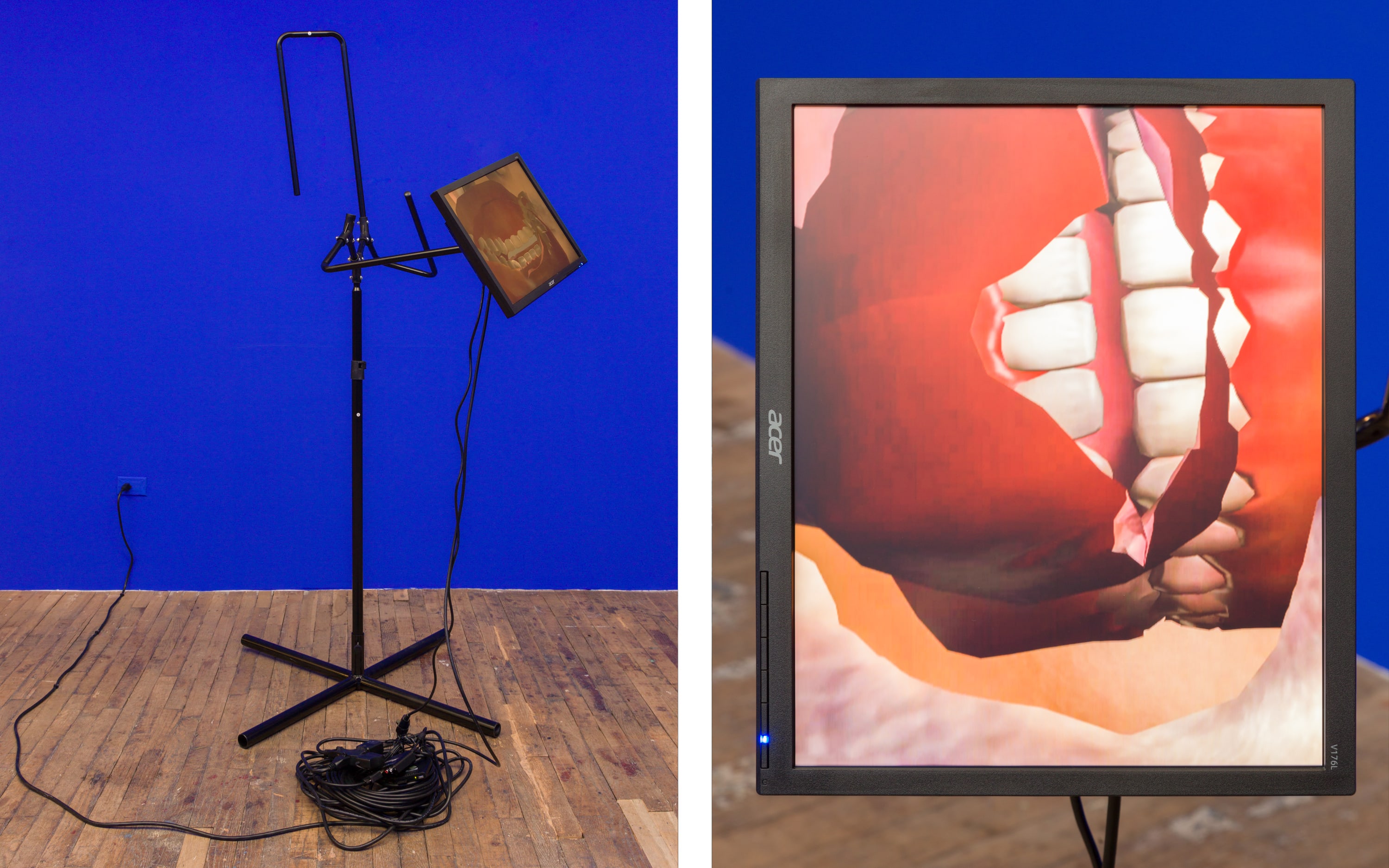 Sondra Perry's Title TK 5, 2018, accompanied IT'S IN THE GAME '17 in her show at Bridget Donahue gallery in New York. 