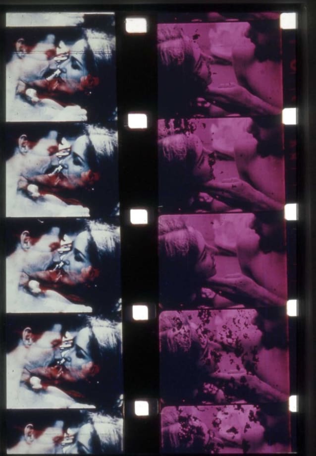 Fuses by Carolee Schneemann
