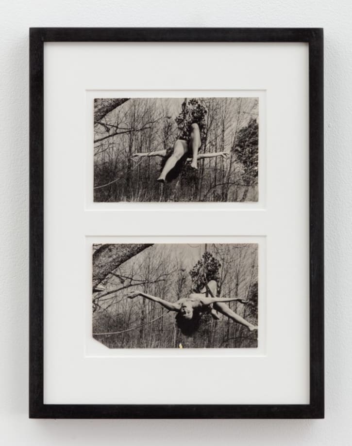 Carolee Schneemann | Up to and Including her Limits, 1973